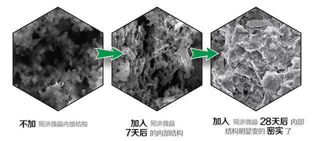 显微镜下的同济微晶