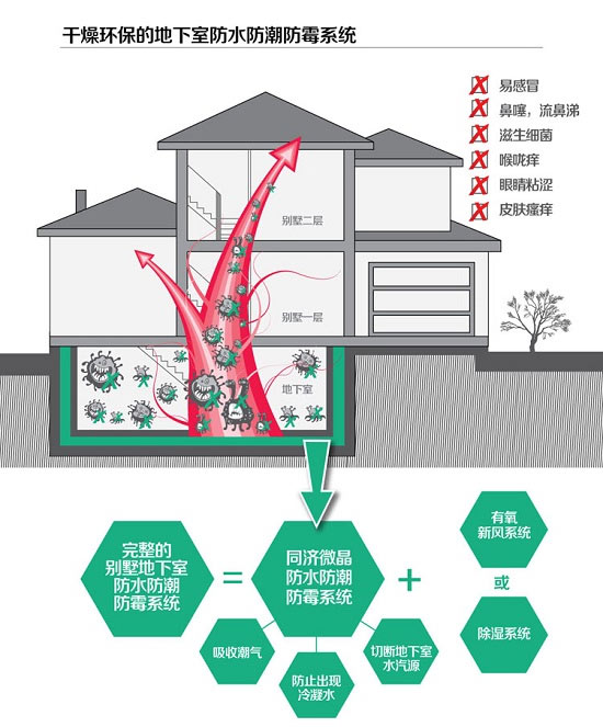 你可知道地下室潮湿发霉，对身体健康的影响有多大？